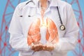 Doctor shows lungs . Royalty Free Stock Photo