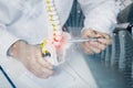 Doctor shows problems between the vertebrae