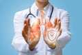 Doctor shows protected human lungs . Royalty Free Stock Photo