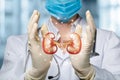 The doctor shows and supports the kidneys Royalty Free Stock Photo