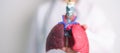 Doctor with Smoker and normal Lung anatomy for Disease. Lung Cancer, Asthma, Chronic Obstructive Pulmonary or COPD, Bronchitis,