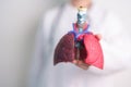 Doctor with Smoker and normal Lung anatomy for Disease. Lung Cancer, Asthma, Chronic Obstructive Pulmonary or COPD, Bronchitis,