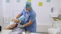 Doctor in sterile clothes bandages leg of patient after surgery to remove varicose veins