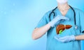 A doctor with a stethoscope holds a realistic human liver icon in his hands. The concept of awareness of the prevention of
