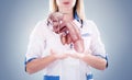 Doctor with stethoscope and penis on the hands in a hospital.