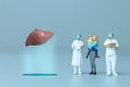 Doctor studying and treating human Liver , World Health Day concept Royalty Free Stock Photo