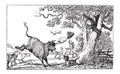 Doctor Syntax Being Chased by a Bull, vintage engraving