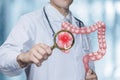 Doctor to examine with a magnifying glass intestines for bacteria