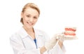 Doctor with toothbrush and jaws Royalty Free Stock Photo