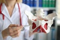 Doctor traumatologist demonstrating bones of pelvis to students in clinic closeup Royalty Free Stock Photo