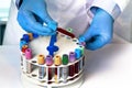 Doctor with tubes rack and sample tube working in the lab Royalty Free Stock Photo
