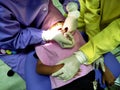 Doctor in uniform checking up Dentist examining kid`s teeth at dental clinic