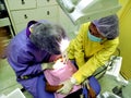 Doctor in uniform checking up Dentist examining kid`s teeth at dental clinic