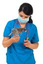 Doctor vet with chick in motion Royalty Free Stock Photo