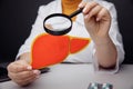Doctor watching on a model of liver by magnifier. Early diagnosis and treatment concept Royalty Free Stock Photo
