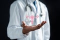 Doctor in a white coat holding virtual uterus reproductive system , woman health, PCOS, ovary gynecologic and cervix cancer,