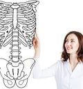 Doctor woman pointing on drawing human skeleton. Royalty Free Stock Photo