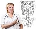 Doctor woman pointing on drawing human skeleton. Royalty Free Stock Photo