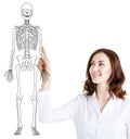 Doctor woman pointing on drawing human skeleton. Royalty Free Stock Photo