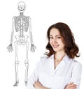 Doctor woman standing near drawing human skeleton