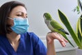 Doctor woman veterinarian examining a green Quaker parrot