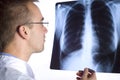 Doctor with x-ray Royalty Free Stock Photo