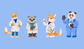 Doctors animals cat, owl, dog, panda cute cartoon vector animal