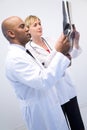 Doctors Checking Xray Royalty Free Stock Photo