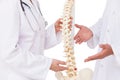 Doctors discussing spine model Royalty Free Stock Photo