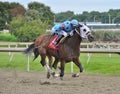 Doctors of Mischief Winning at Parx