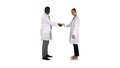 Doctors shaking hands and posing to camera on white background. Royalty Free Stock Photo