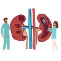 Doctors studying kidneys of donor at clinic. Medical persons checking human organ for surgery flat vector illustration