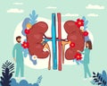 Doctors studying kidneys of donor at clinic. Medical persons checking human organ for surgery flat vector illustration