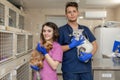 Doctors veterinarians girl and a guy in uniform are holding a cat and a dog on the background of the hospital in a veterinary Royalty Free Stock Photo