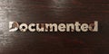 Documented - grungy wooden headline on Maple - 3D rendered royalty free stock image