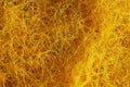 Dodder - A Parasitic Plant Royalty Free Stock Photo