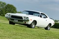 Dodge challenger Royalty Free Stock Photo