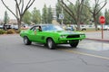 Dodge Challenger classic car on display Royalty Free Stock Photo