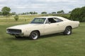 Dodge charger Royalty Free Stock Photo