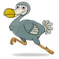 Dodo bird Royalty Free Stock Photo