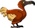 Dodo bird cartoon Royalty Free Stock Photo