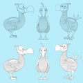 Dodo bird. Cartoon extinct species Dodo painted in black and white in three sides for games and coloring book. Royalty Free Stock Photo