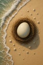 Dodo bird egg in nest on sandy beach with seashells at ocean edge Royalty Free Stock Photo