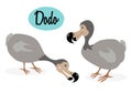 Dodo Bird Illustration