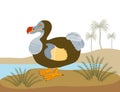 Dodo bird in an island Royalty Free Stock Photo