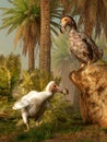 Dodo Birds Royalty Free Stock Photo