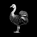 Dodo - black and white vector illustration Royalty Free Stock Photo