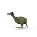 Dodo is running, 3D Illustration
