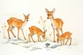 doe teaching fawns to forage on a snowy hillside Royalty Free Stock Photo