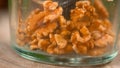 MACRO: Tasty walnut kernels bounce around the plastic container of a blender.